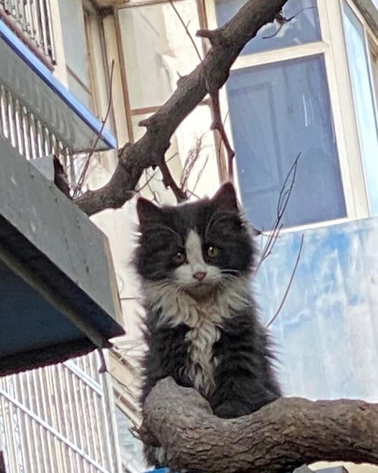 Как изменился малыш, которого я подобрал на улице… 🥺??...