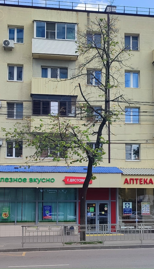 Улица Кирова, в центре Воронежа, когда-то была очень зе?...
