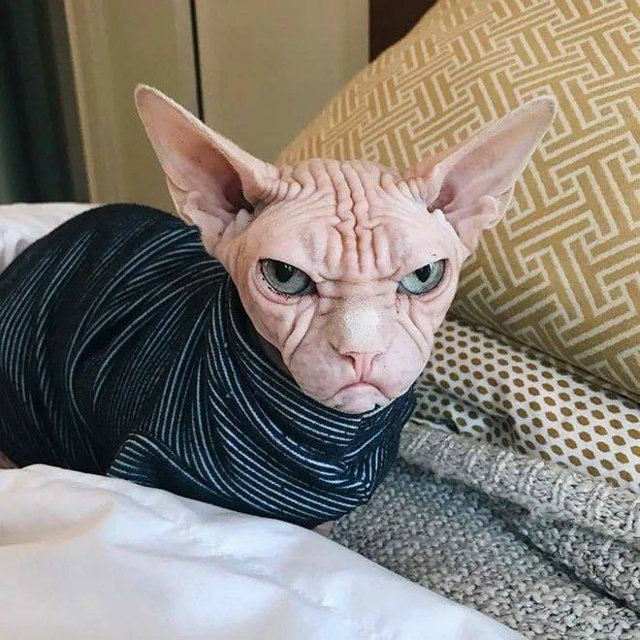 День ворчуна отмечают сегодня 🙃
Ты знаешь, кого надо...