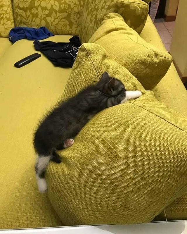 Где устал, там и упал😂