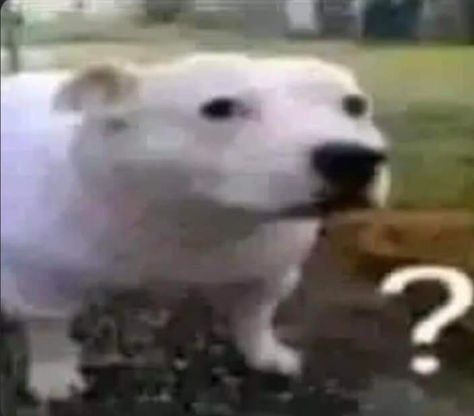 Невероятный поворот событий