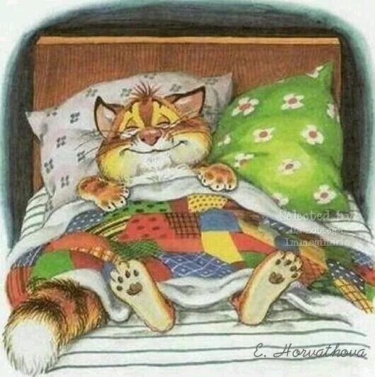 Тёплый кот под одеялком ✨️