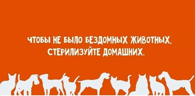 ‼️📣 16 и 17 августа состоится льготная СТЕРИЛИЗАЦИЯ ЖИ...