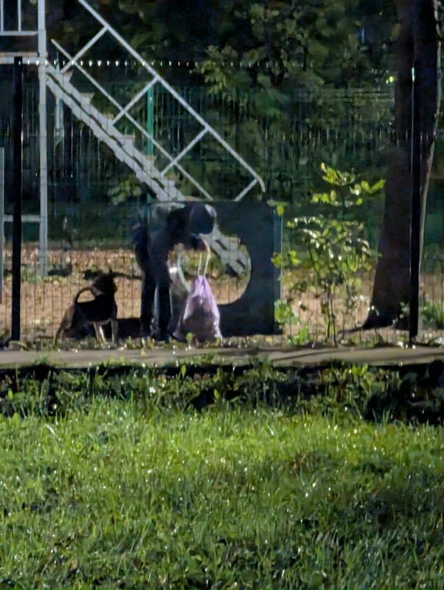 Здравствуйте!
Я хочу вновь выразить благодарность дет...