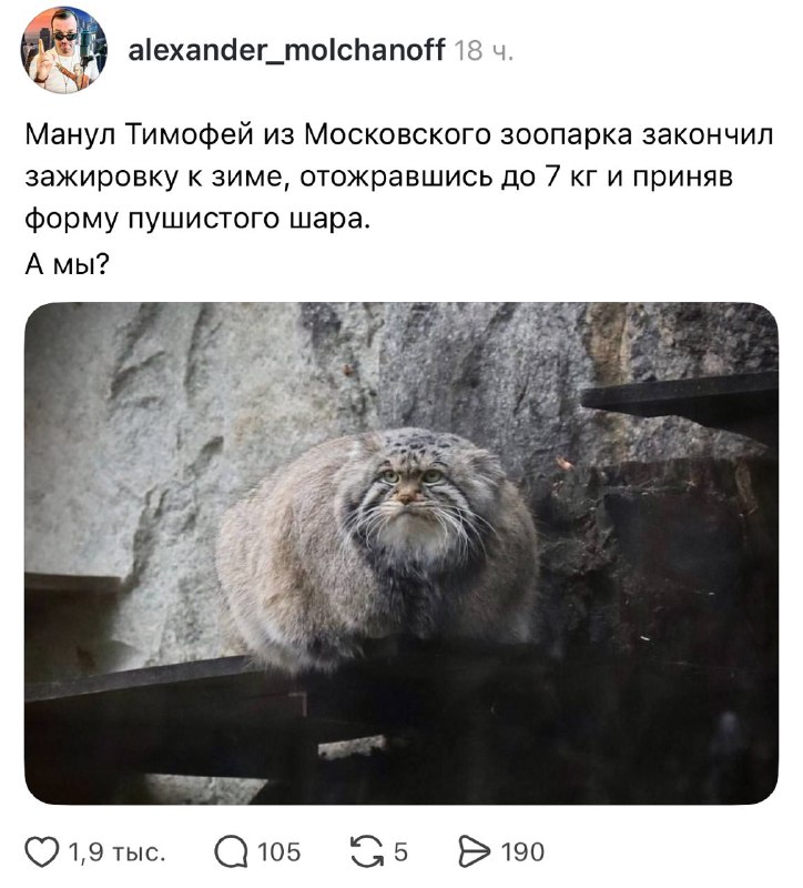 А мы справились с этим заданием ещё летом 💅