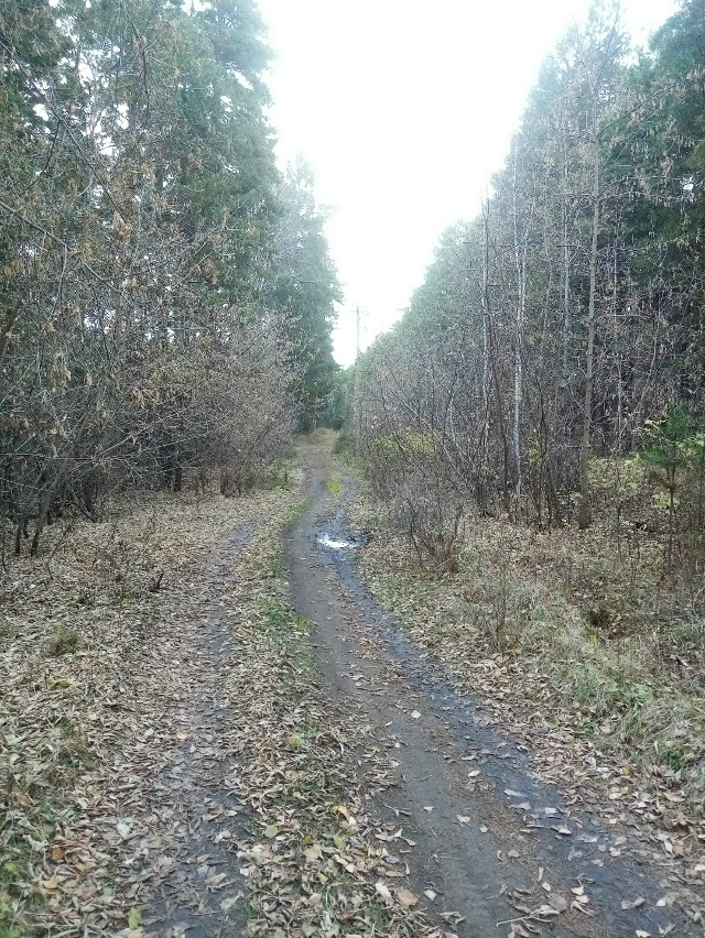 Немного позитива в ленту,.На снимках-осенняя прогулка ?...