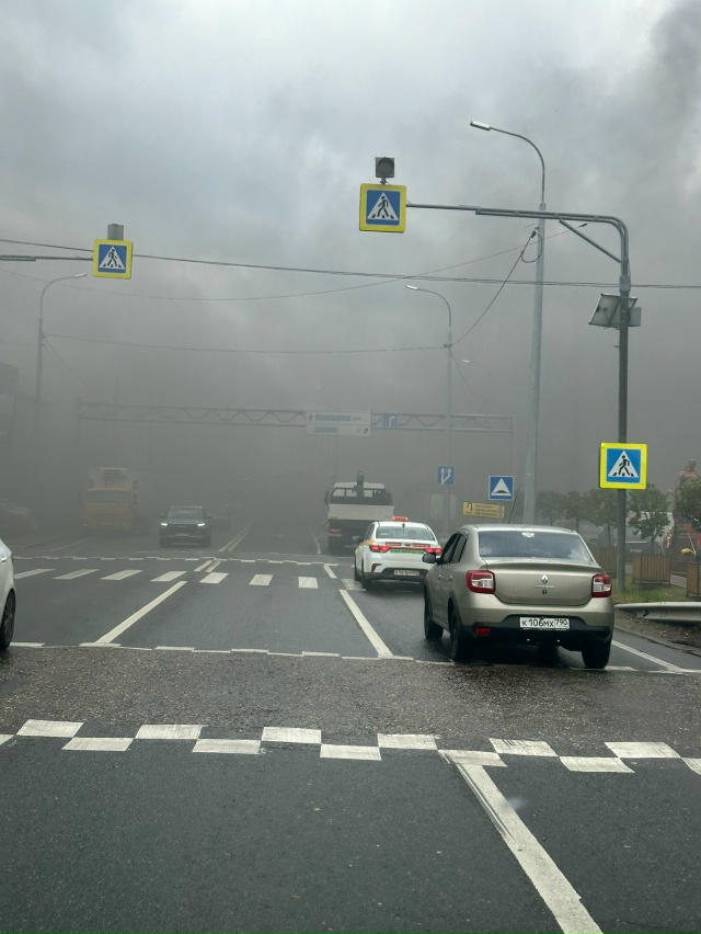 В пушкино дельфин горит