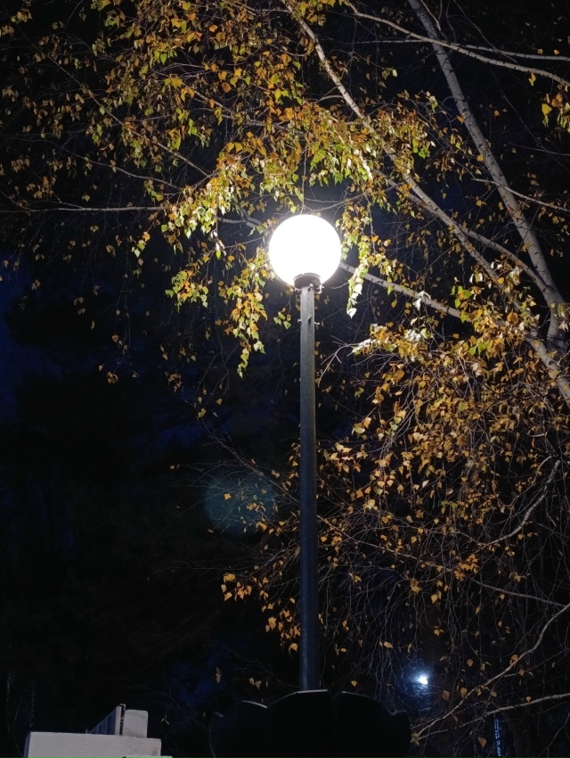 Пустеют улицы и начинается сказка.
Какая ваша любимая...