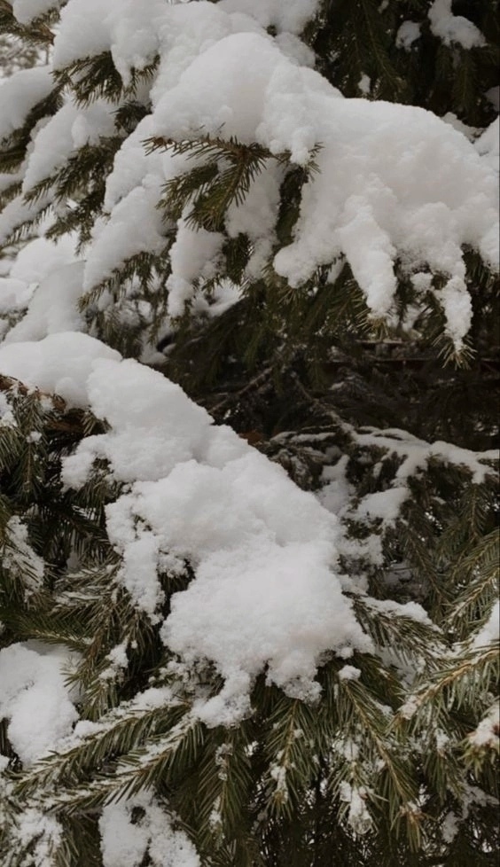 На самом деле тем и прекрасна, и неповторима наша жизнь...