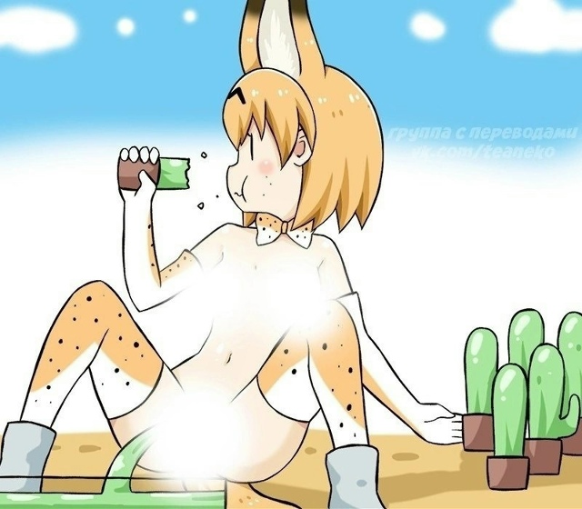 На сегодня достаточно интернета