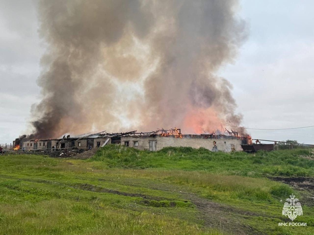 В Великовисочном сгорело здание фермы
Врио губернато?...