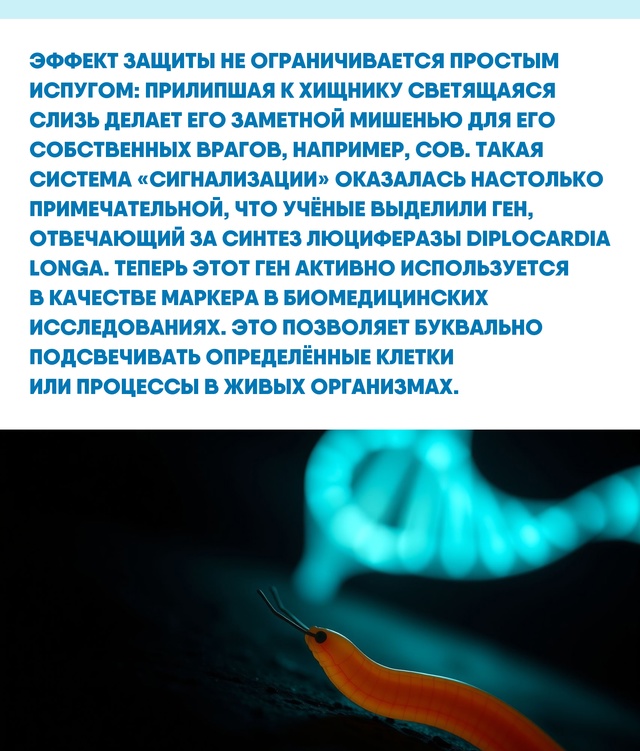 Мир под нашими ногами хранит множество удивительных а?...