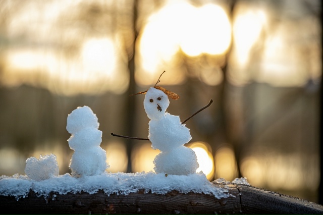 В парке ... 👀