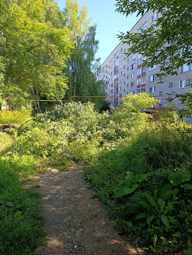 Уважаемая администрация! Знаю, что просматриваете Под?...