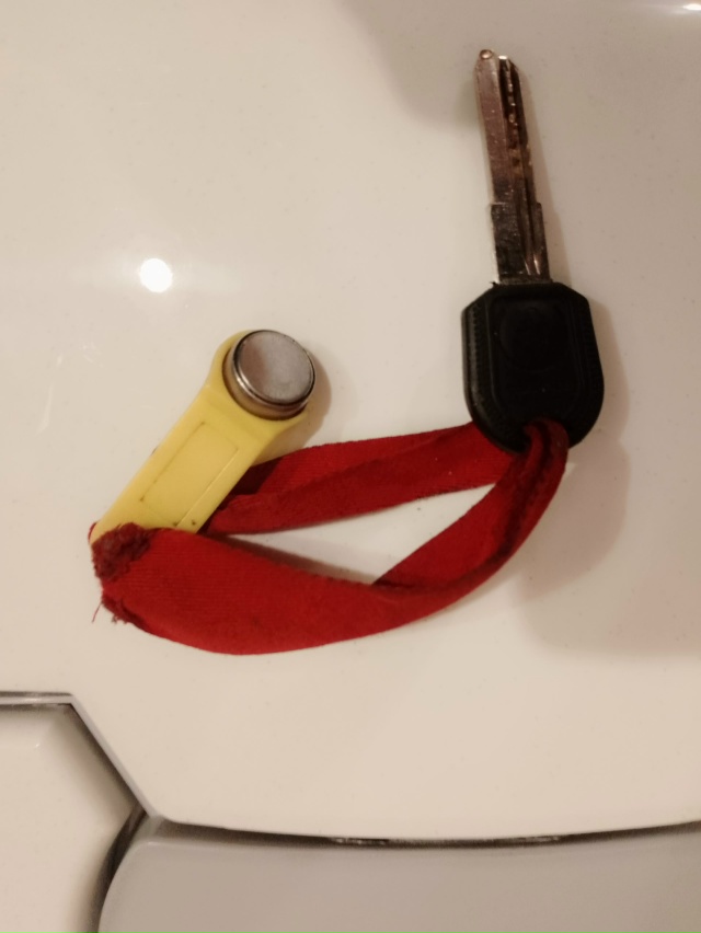 Нашли ключ на Радищева, недалеко от Цветторга.