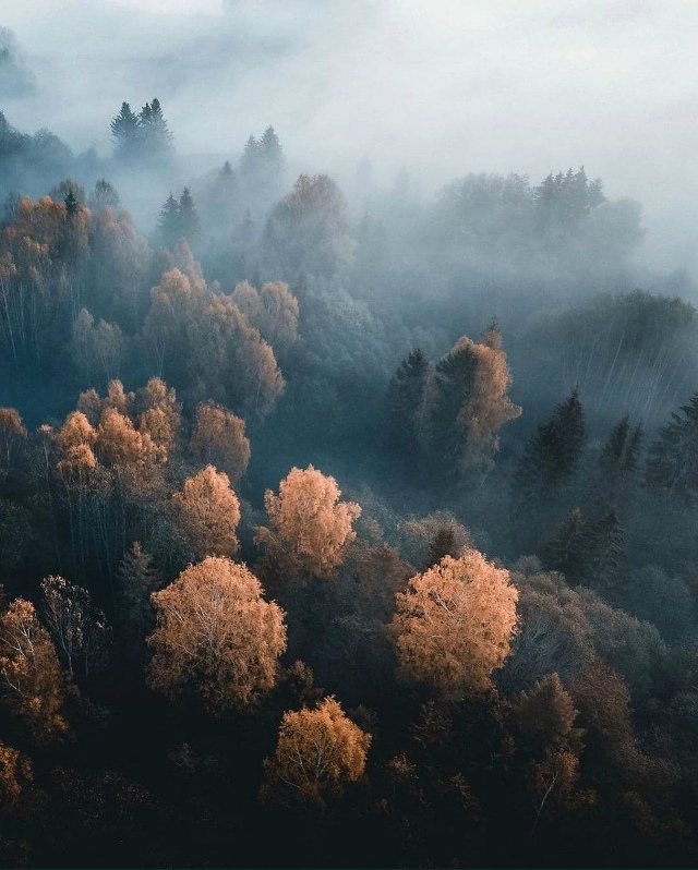 Чтобы найти верную дорогу, сначала надо заблудиться.