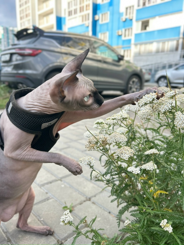 Любовались цветочками 🥰