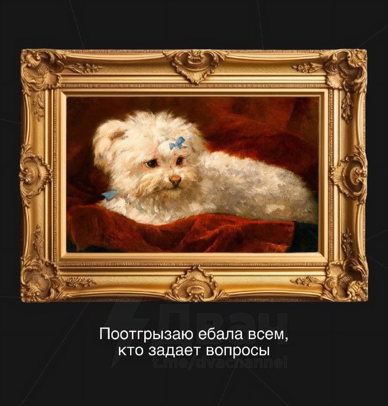 Забирайте эти картинки на случай важных переговоров с коллегами
К понедельнику готовы