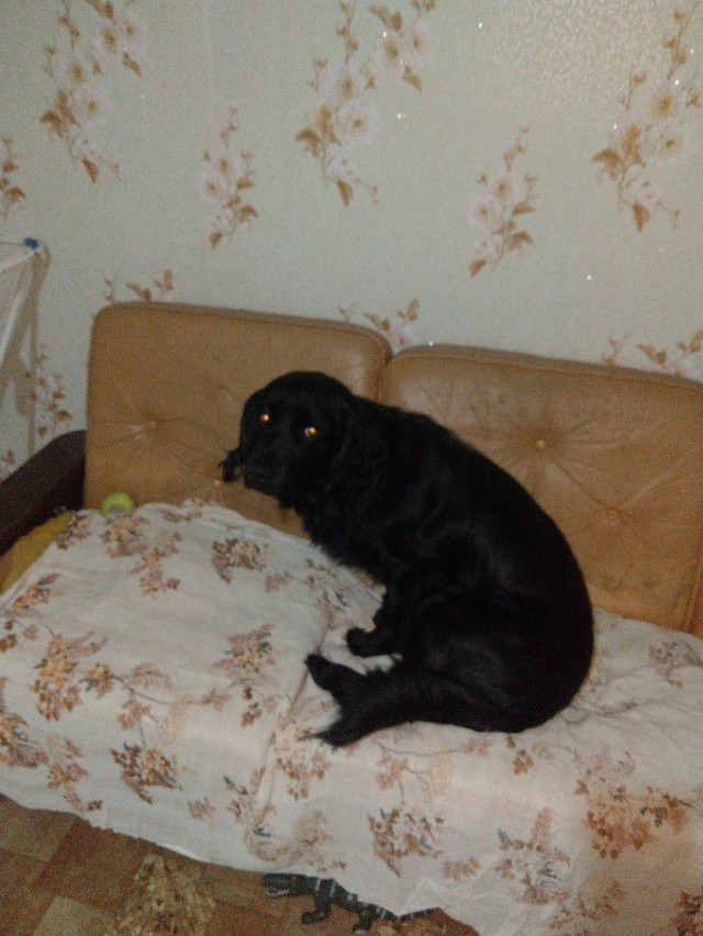 Здравствуйте уважаемые жители города Остров! Продолжа...