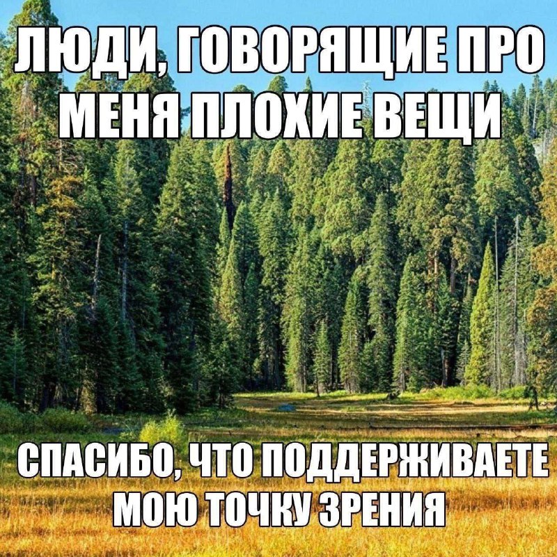 Утренняя подборочка