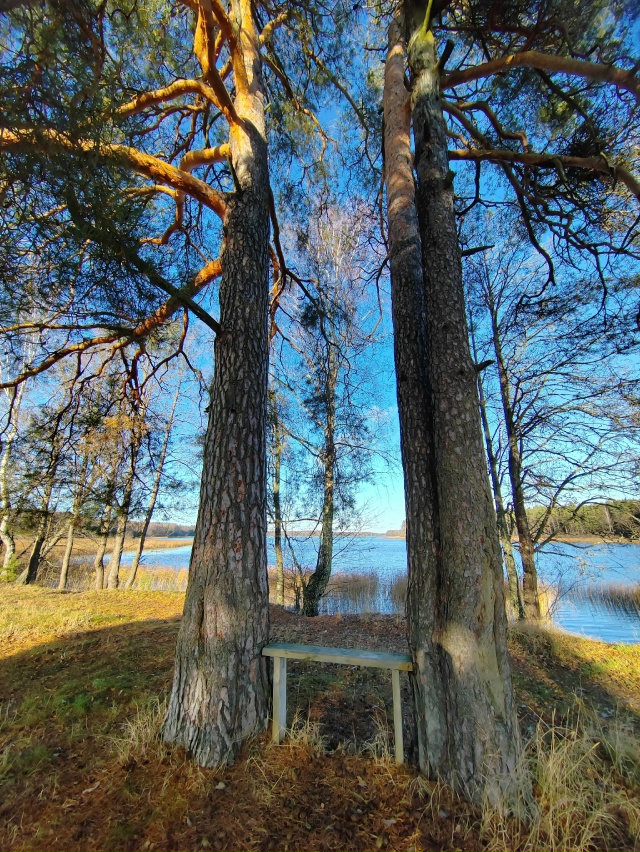 Давно не было фотографий полюбившейся всем рубрики: