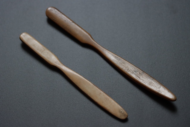 👉Археологи нашли возле СмолГУ две зубные щётки начал?...