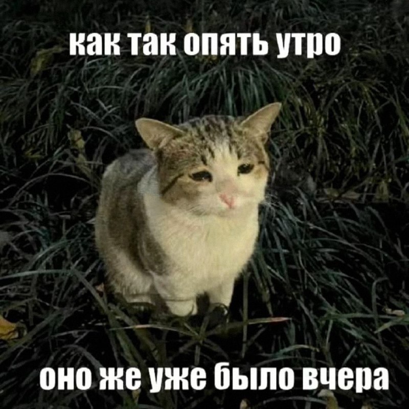 Утренняя подборочка