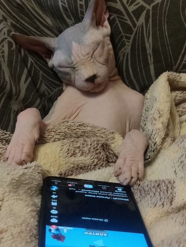 Будем знакомы, Блейд 7 месяцев . А как вы укладывание сп...