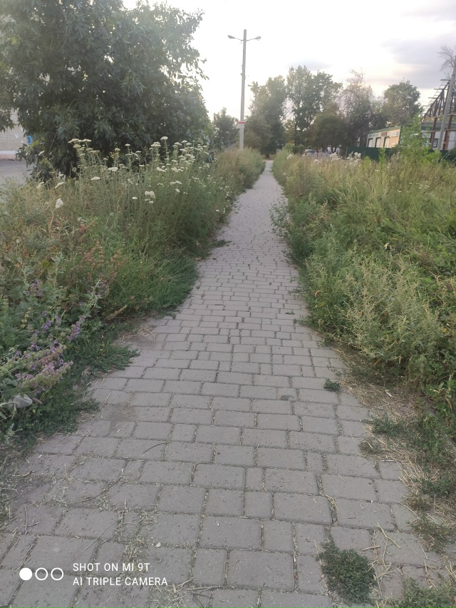 Прогулялись сегодня вечером на 