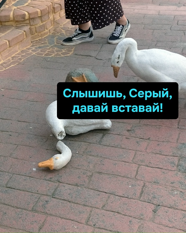 Серёга решил просто лечь и подождать, пока пройдёт нед?...