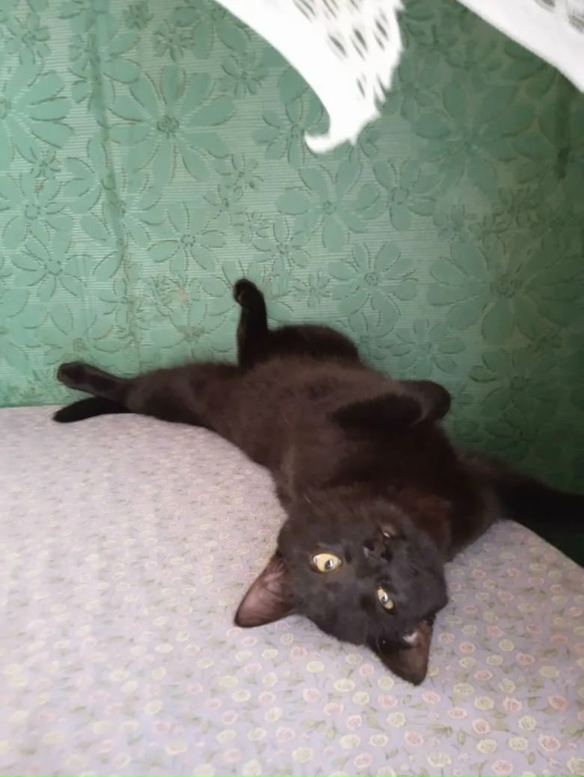 Админушка, пожалуйста не надо мой пост отправлять в ис?...