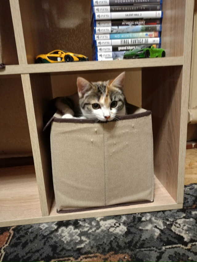 Кукусики от Леи.