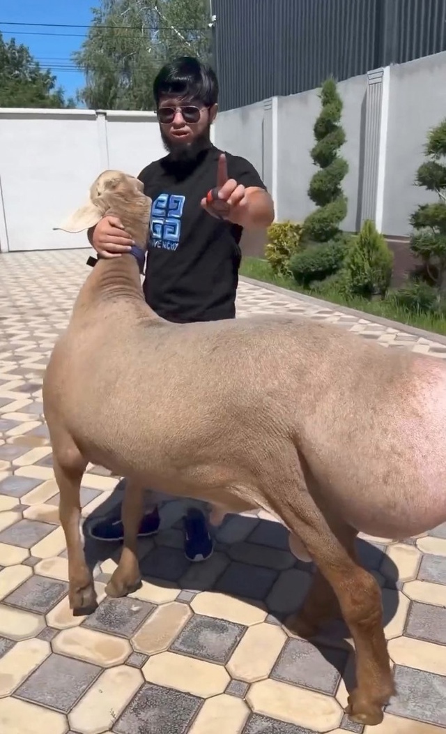 вот это цыпочки