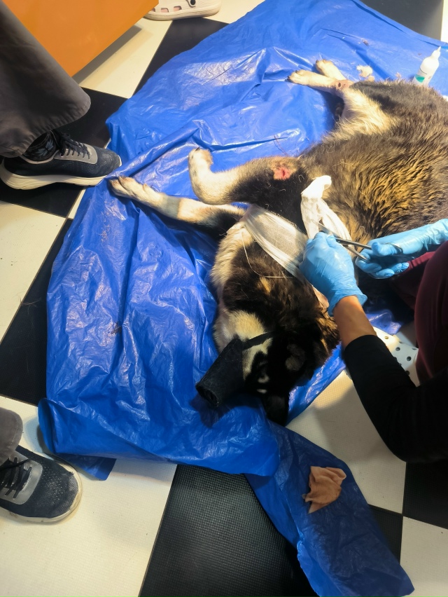 Друзья, нужна помощь! 😪
Сегодня звонит папа 