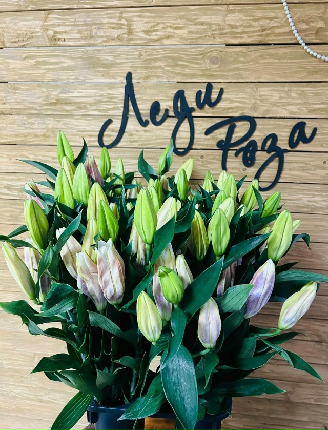 Дорогие земляки , приветствую Вас!!!❤️
30 ноября прекра?...