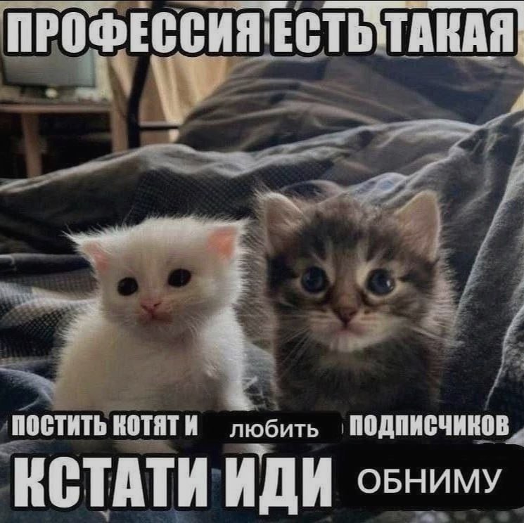 Ночная подборочка
Спать, режим
