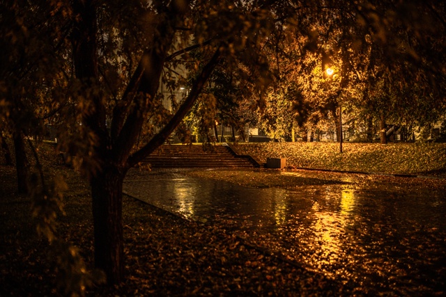 ☔Дождливый Воронеж прямо сейчас🍂