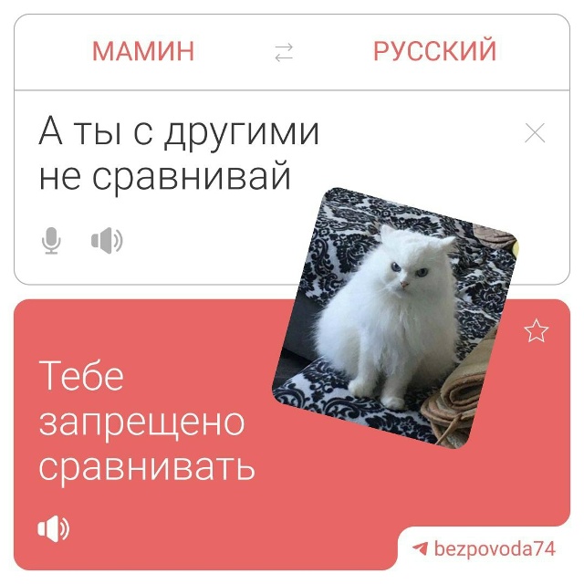 ❗️😍 Мы выросли, но мамины фразы всё еще с нами
Порой ?...