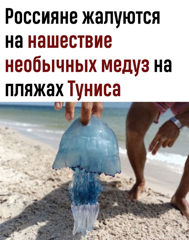 Отпуск с ожогом: россияне боятся купаться в Тунисе из-з...
