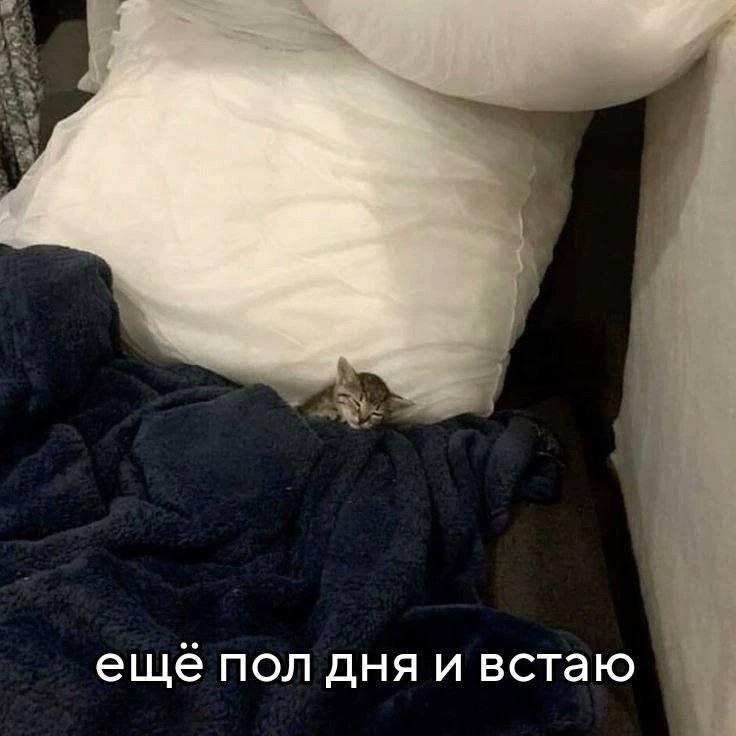утро воскресенья: