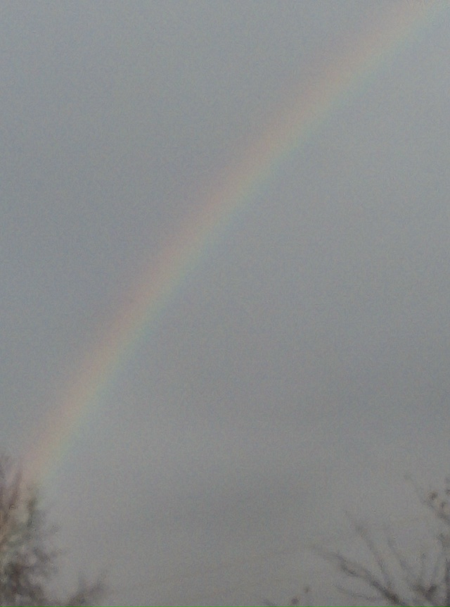 Радуга в октябре ?
#Я_тебя_видел@podslushano_velsk