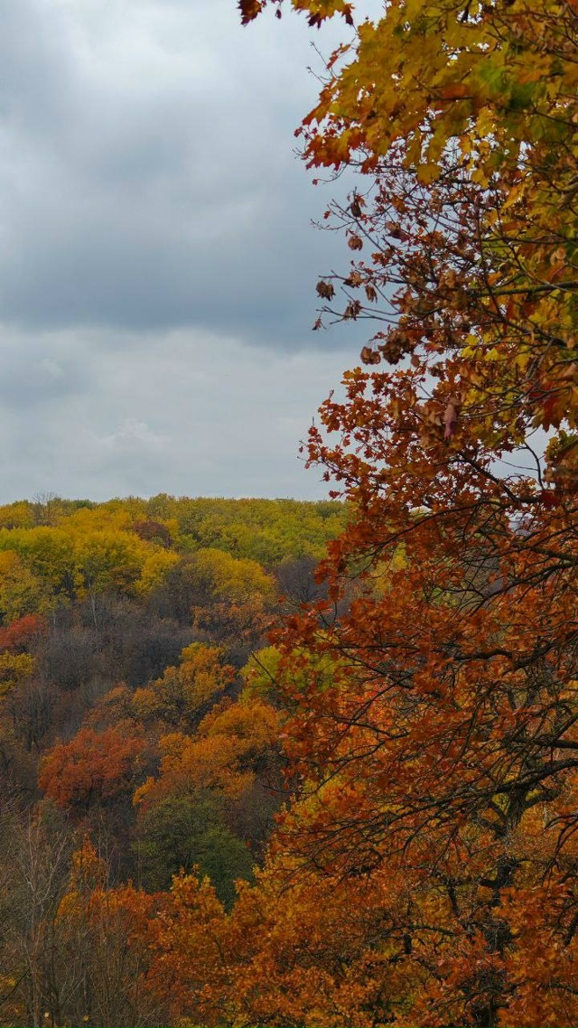 Чудесные осенние пейзажи нашей области