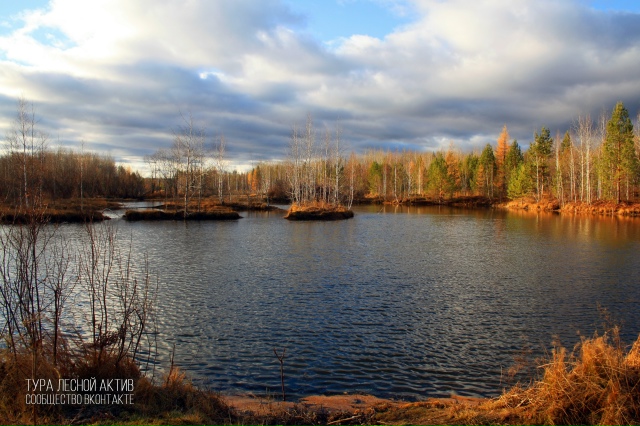 Вогулка поздней осенью. 🍁🍂🪾
Нижнетуринский р-н, еще ...