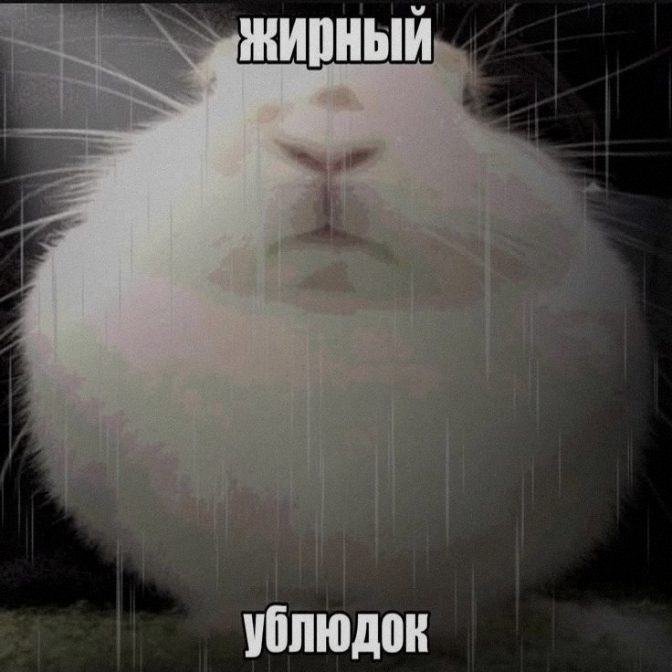 Ночная подборочка
Спать, режим