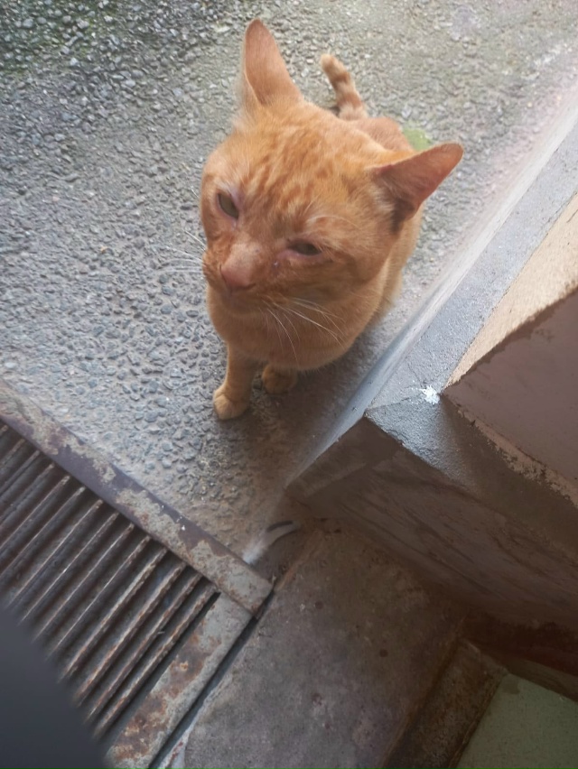 Уважаемые жители Кронштадта! Около месяца назад потер?...