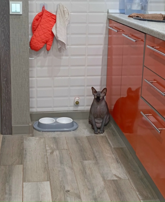 Моя всратая красотуля!