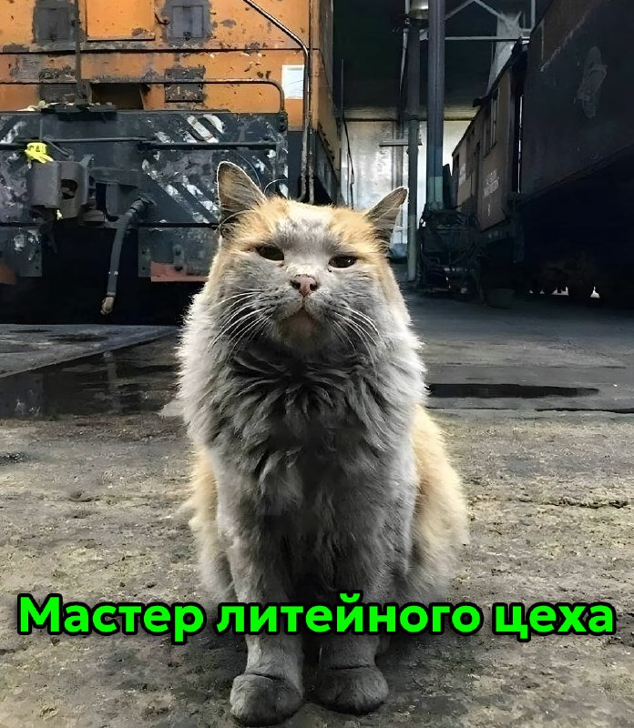 Сегодня отмечается День трудяги
Узнал себя?