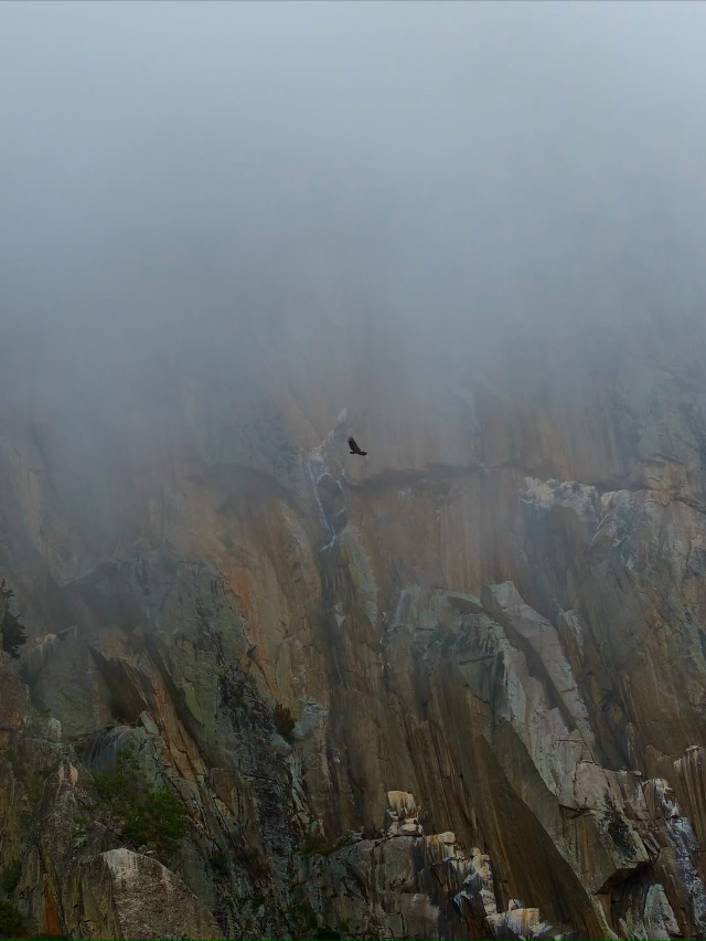 Тырныауз 🇷🇺