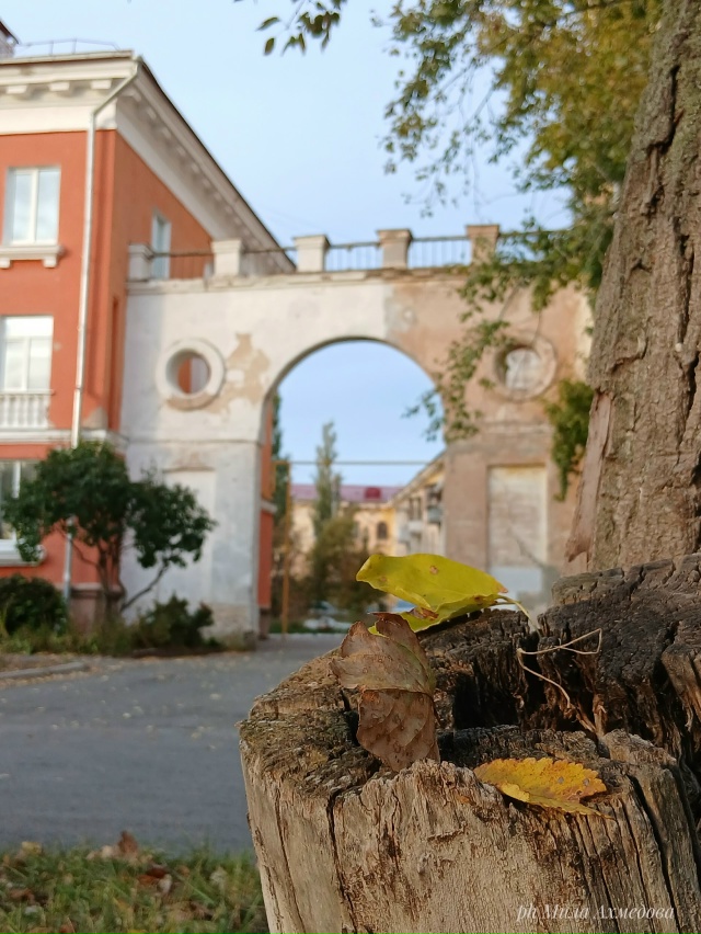 Шлюзовой, Самарская обл. 🍁