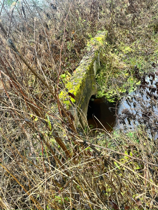 Добрый вечер! Обращение к администрации Кадуйского ра?...